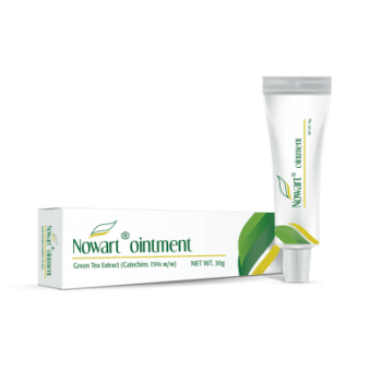 Nowart Ointment 30g