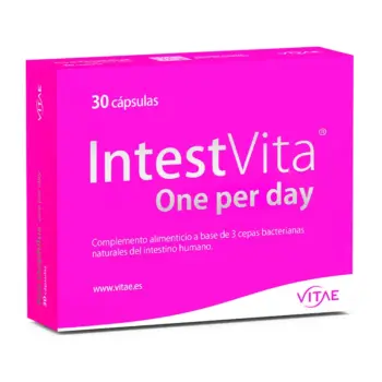 Intestvita One Per Day 30 Capsules